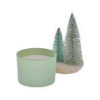 Sonoma Goods For Life Sisal Trees Balsam Fir 11-oz. 2-Wick Candle Dish