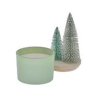 Sonoma Goods For Life Sisal Trees Balsam Fir 11-oz. 2-Wick Candle Dish
