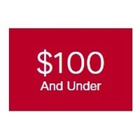 Gifts Under $100