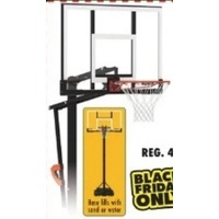 Lifetime 54 IN. ACTION-GRIP PORTABLE HOOP