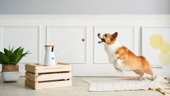 Furbo Dog Camera Deals