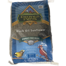 Black Oil Sunflower Bird Seed 40