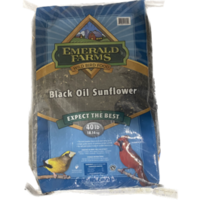 Black Oil Sunflower Bird Seed 40