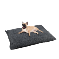 Main St. Pet Large 36-inx27-in Dog Bed